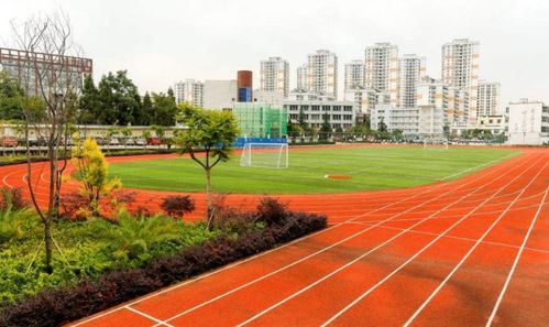 河南师范类大学遇冷,做教师就这么不堪吗 网友 人都嫁不出去