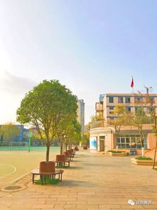 西山区实验中学招在编教师啦,优秀的你快到碗里来