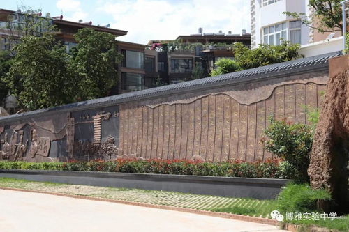 名校关注 昆明北大博雅实验中学欢迎您